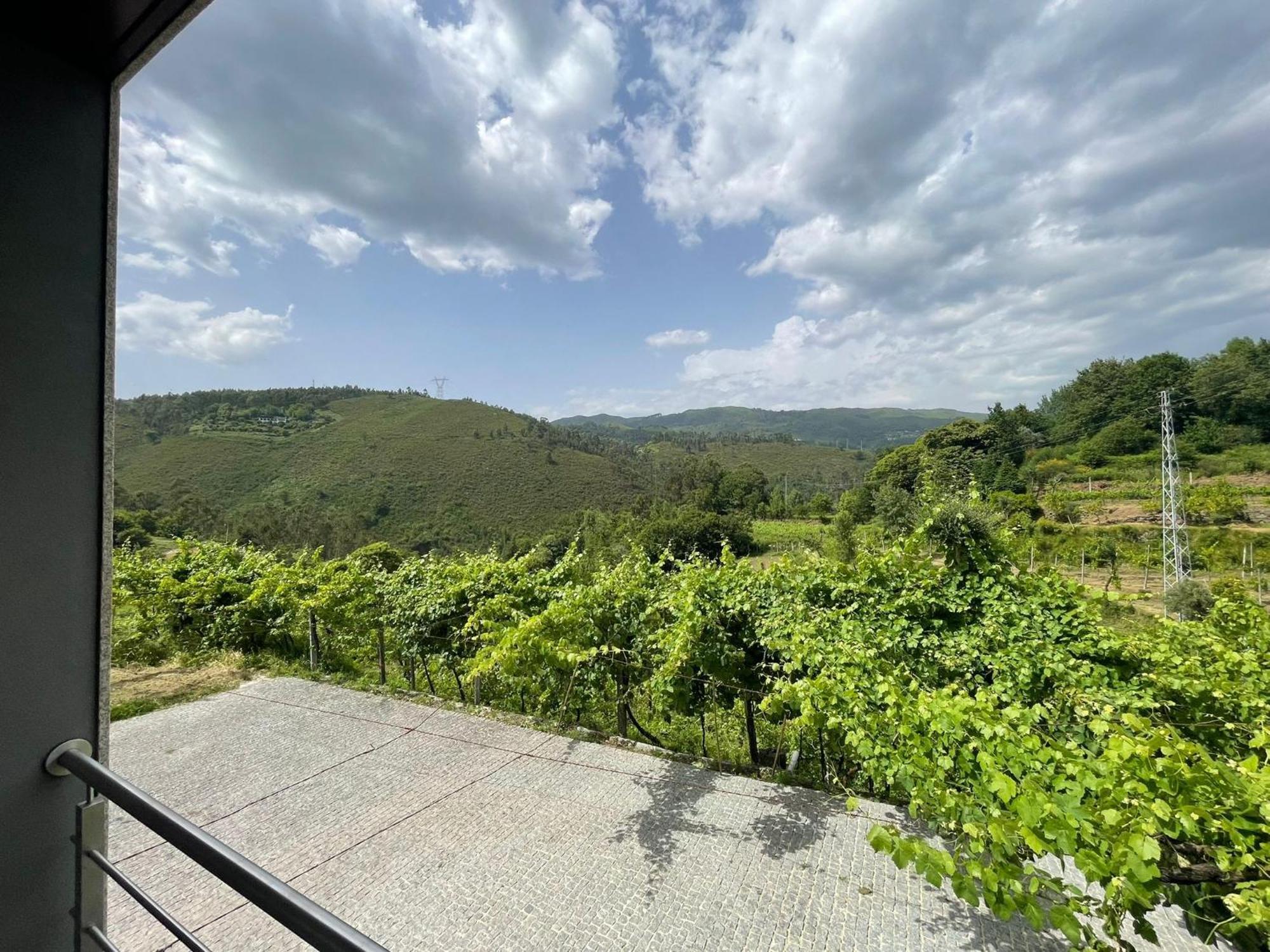 Casa Da Garrafeira - Quinta Da Portela Terras de Bouro Ngoại thất bức ảnh